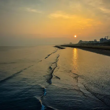 Enjoy The Sun From The Balcony Of Our *