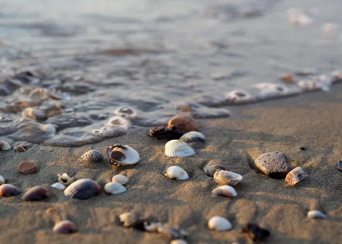 Beachside Elegant For Four Guests Апартаменты